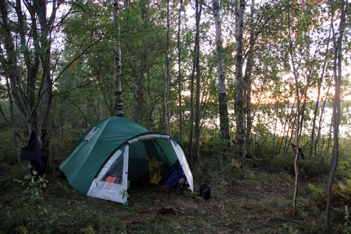 IMG_2011.jpg