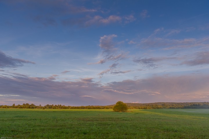 DSC_0223-2.jpg