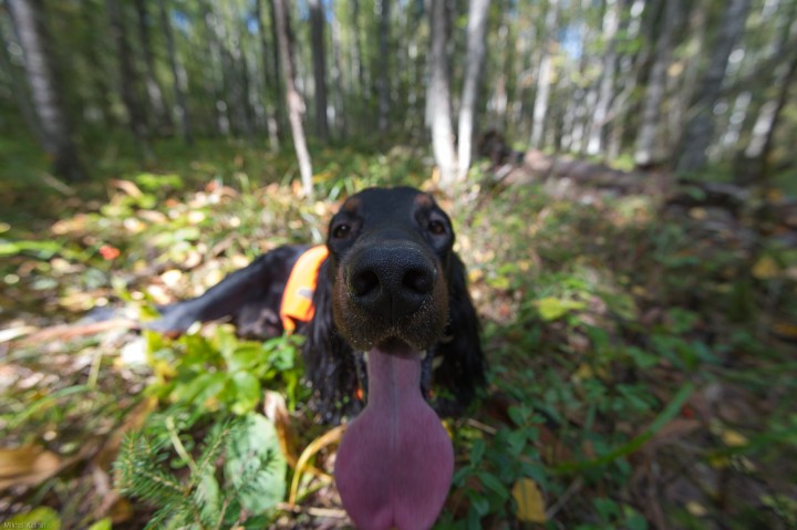 DSC_1228.jpg