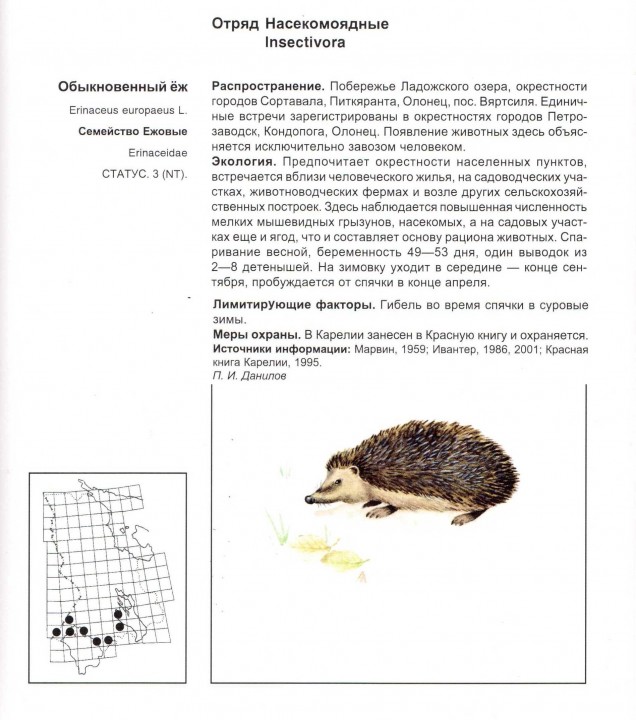 КК РК_Еж.jpeg