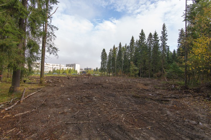DSC_1369-2.jpg