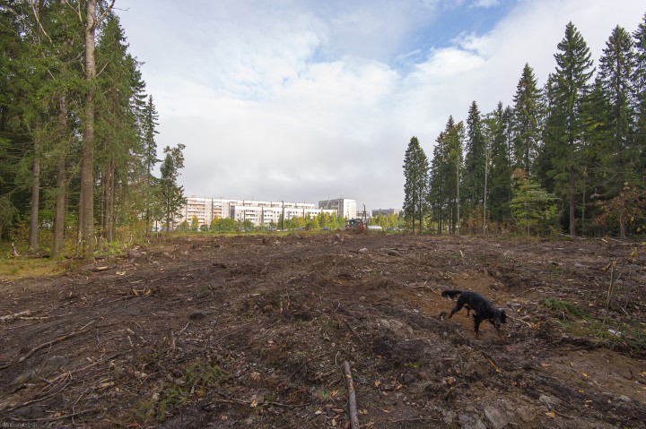 DSC_1370-2.jpg