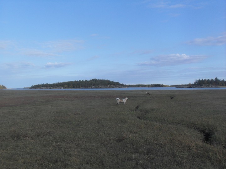SDC11826.jpg