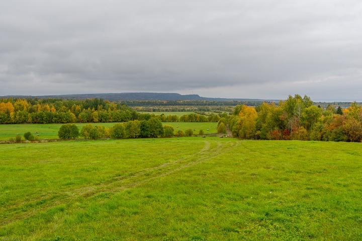 DSC_2220.jpg