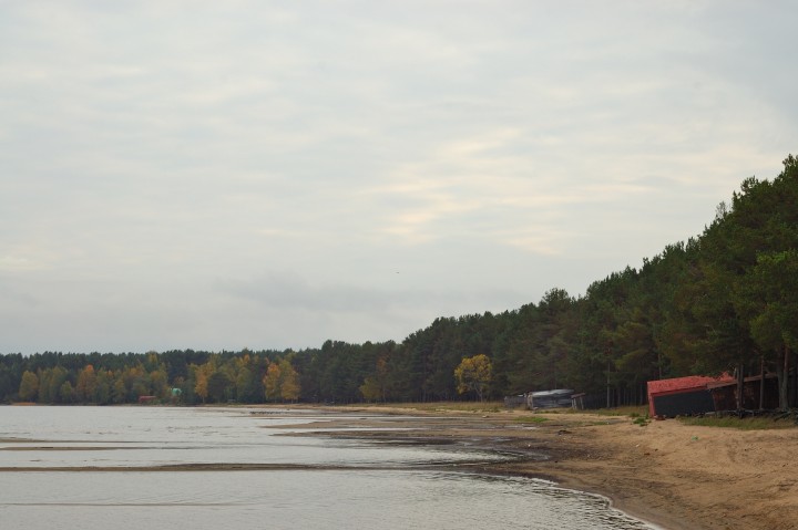 DSC_8379.JPG