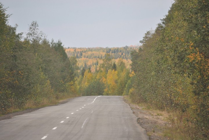 DSC_0796.jpg