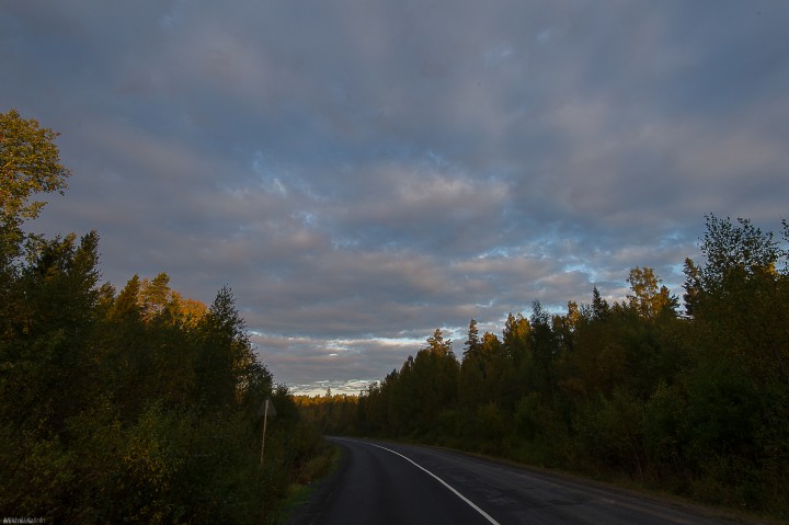 DSC_1456.jpg