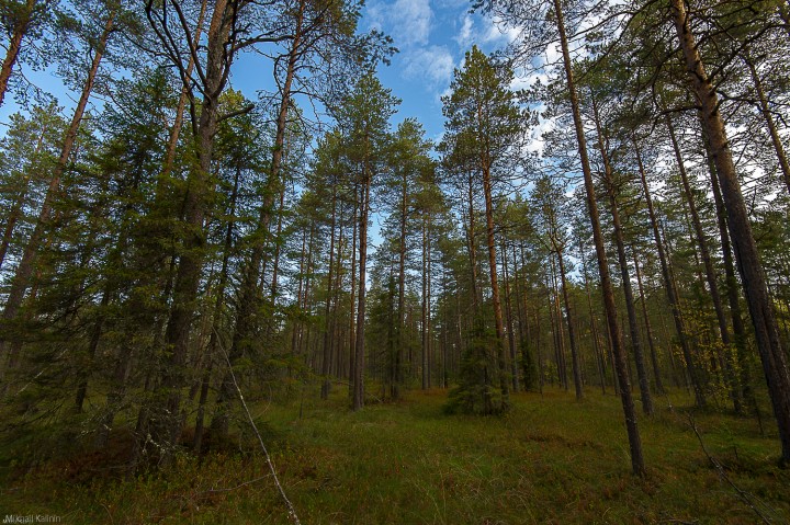 DSC_1487.jpg