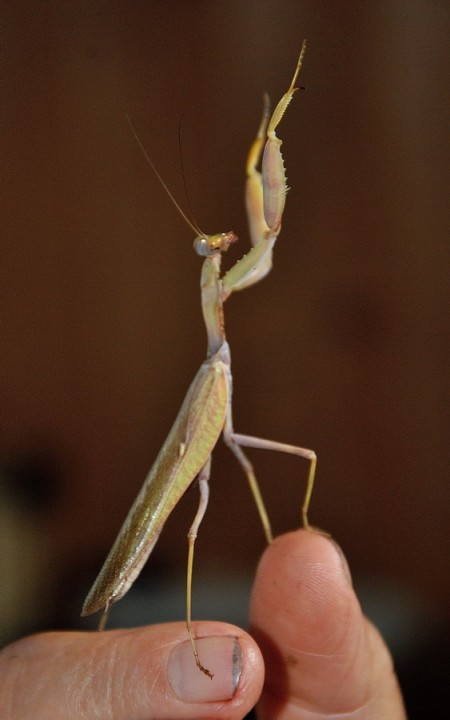 DSC_0481.jpg