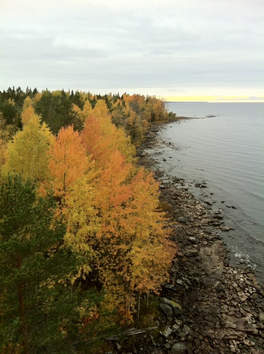 image.jpg (1.29 МБ) 2723 просмотра image.jpg