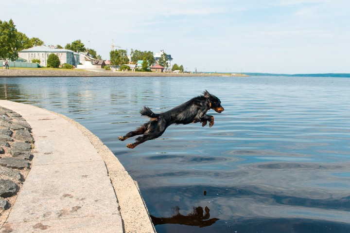 Может выкладывал.