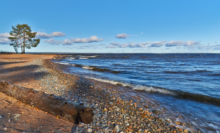 DSC_4794_1.jpg