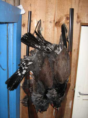 IMG_3583.jpg