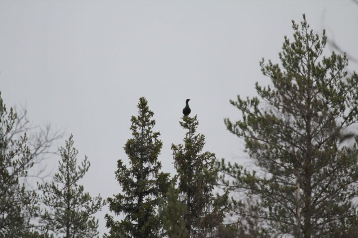 IMG_5256.jpg
