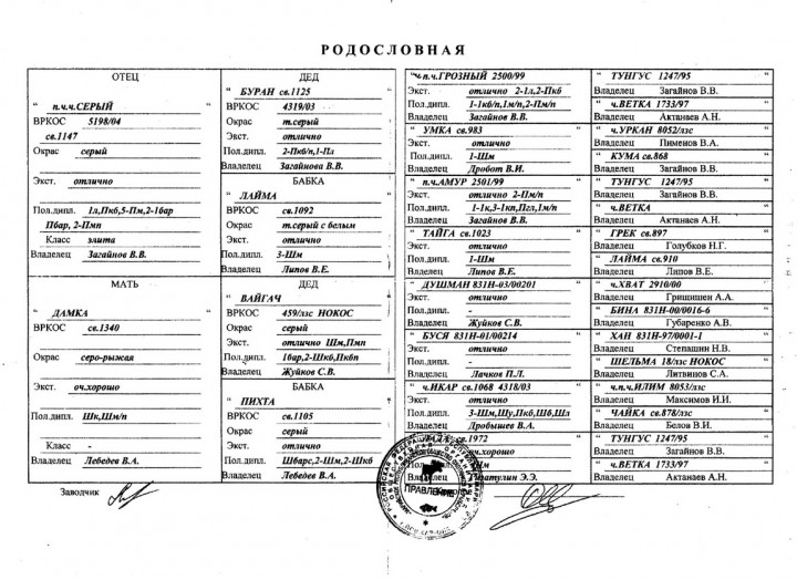 копия2.jpg (322.5 КБ) 4471 просмотр копия2.jpg