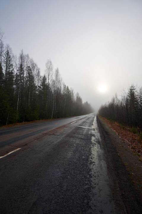 DSC_7065.jpg