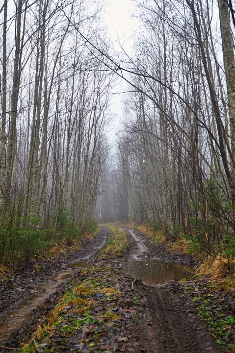 DSC_7073.jpg