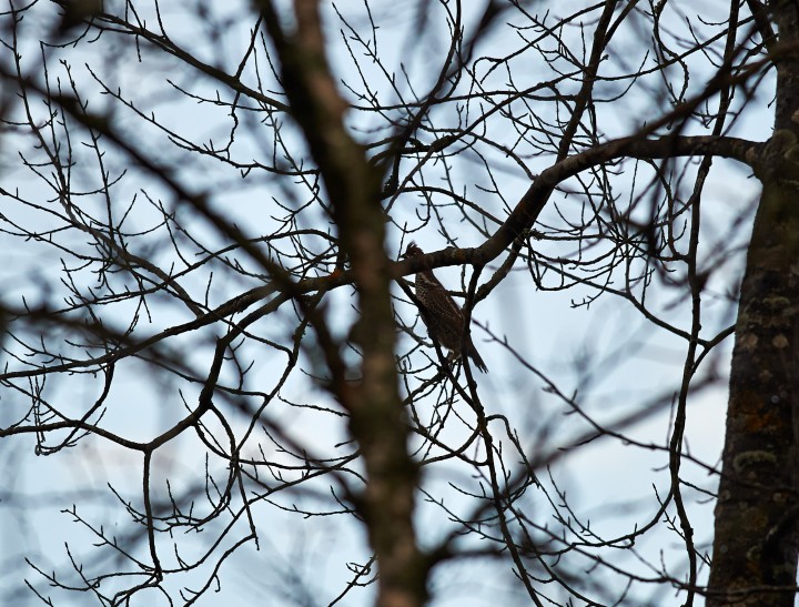 DSC_7128.jpg