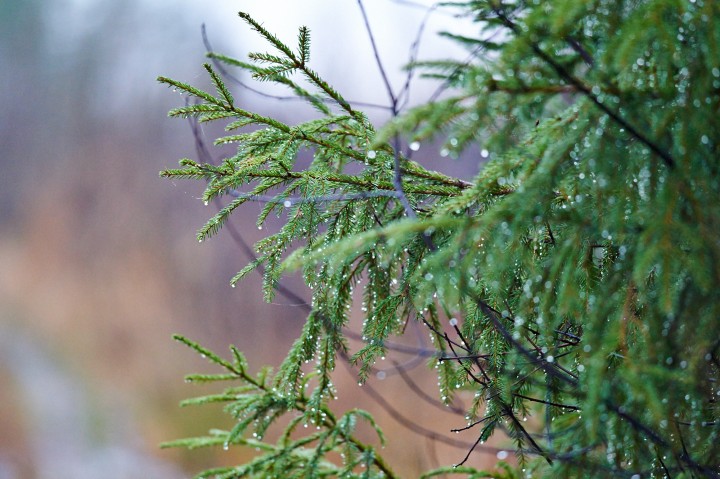 DSC_7144.jpg