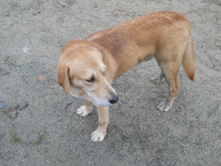 DSCN4560.JPG