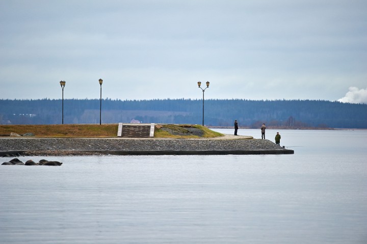 DSC_7158_1.jpg
