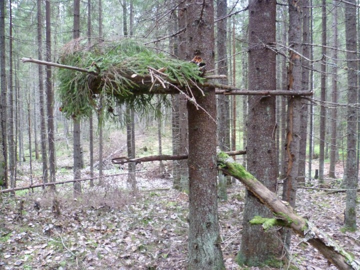 z_85613cc7.jpg