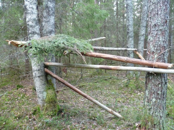18.jpg