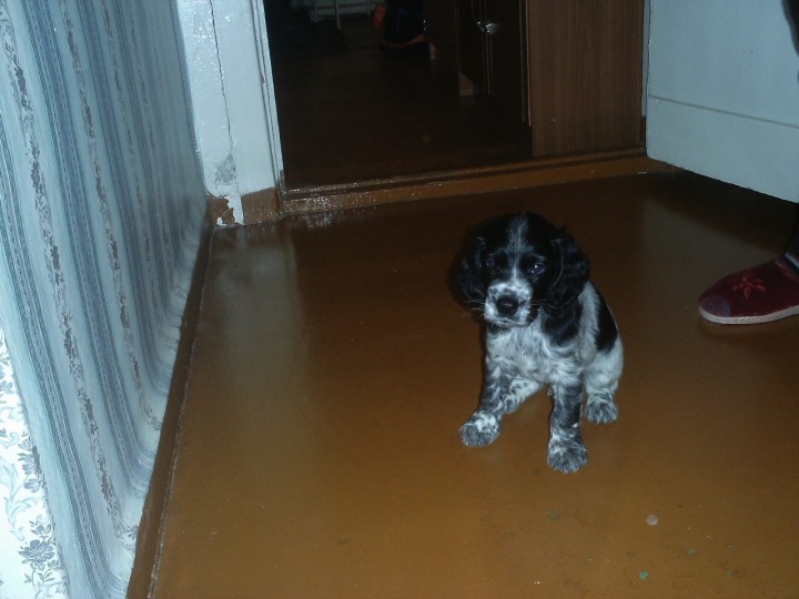 PIC_0037.JPG (444.07 КБ) 6608 просмотров PIC_0037.JPG