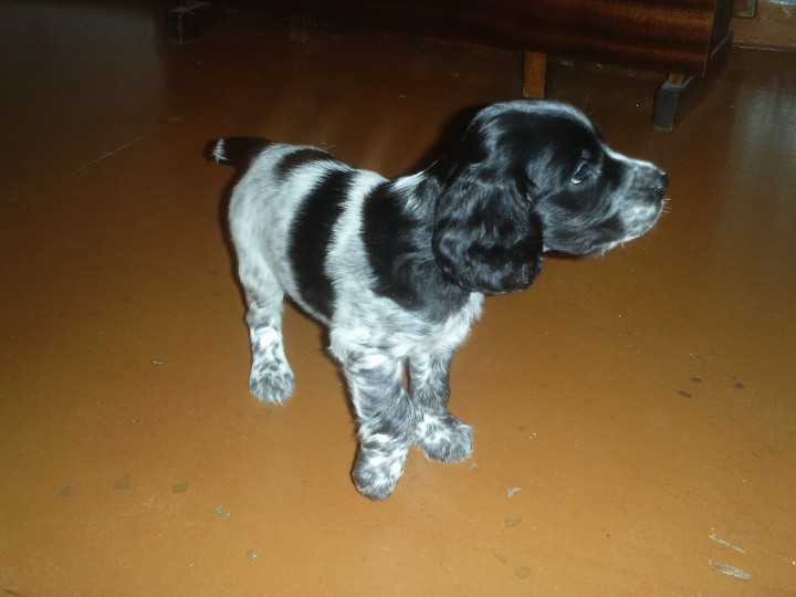 PIC_0040.JPG (422.1 КБ) 6635 просмотров PIC_0040.JPG