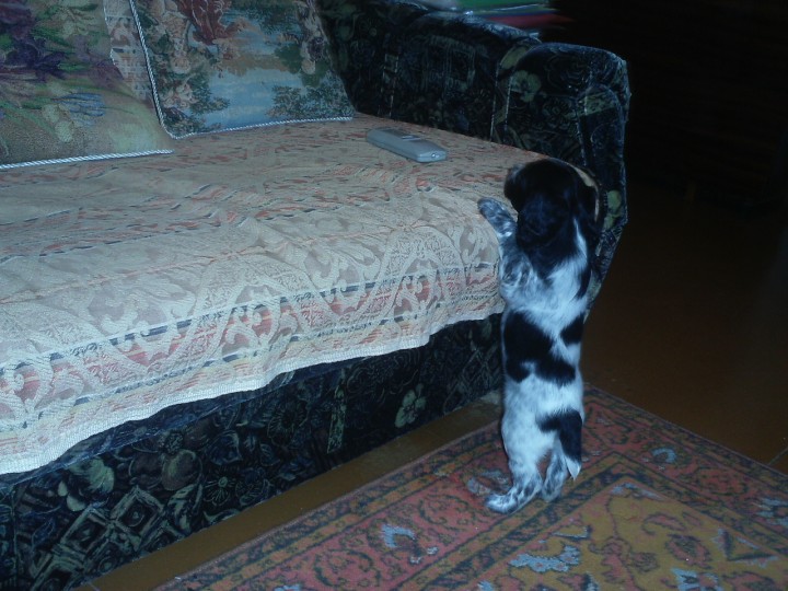 PIC_0044.JPG (617.92 КБ) 7491 просмотр PIC_0044.JPG