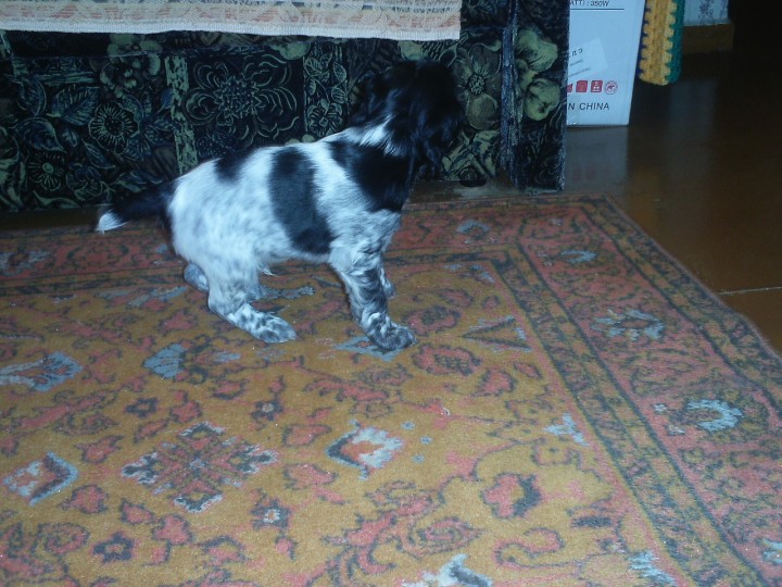 PIC_0043.JPG (687.37 КБ) 7497 просмотров PIC_0043.JPG