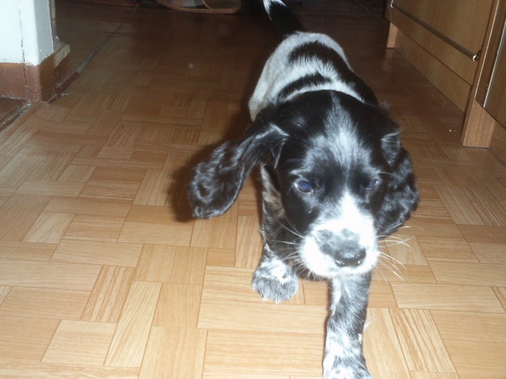 PIC_0087.JPG