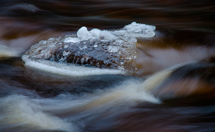 DSC_1427.jpg