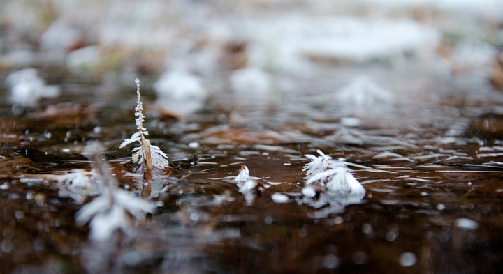 DSC_1403.jpg