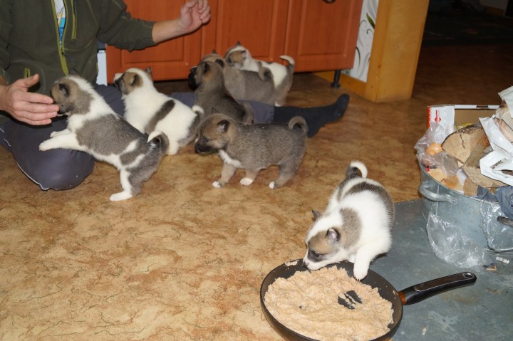 DSC01629.JPG