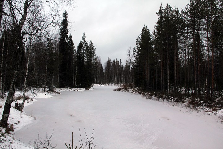 IMG_7218.jpg