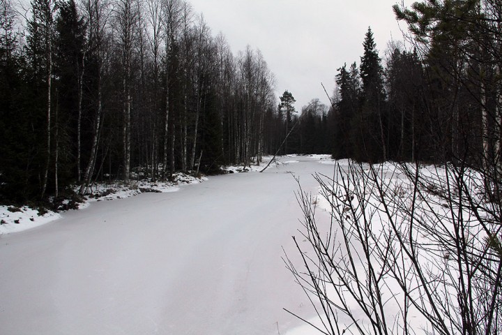 IMG_7221.jpg