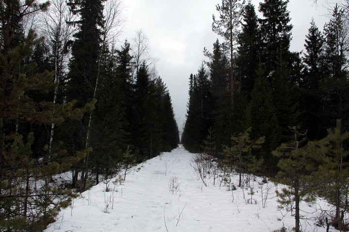 IMG_7223.jpg