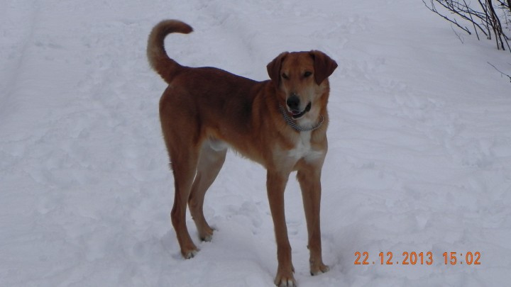 DSCN4576.JPG