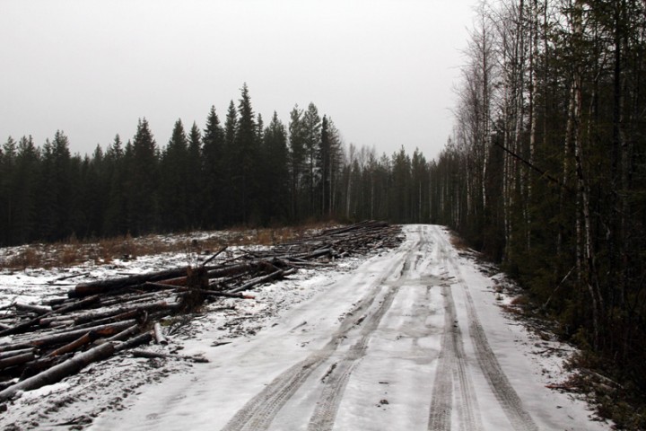 IMG_8425.jpg
