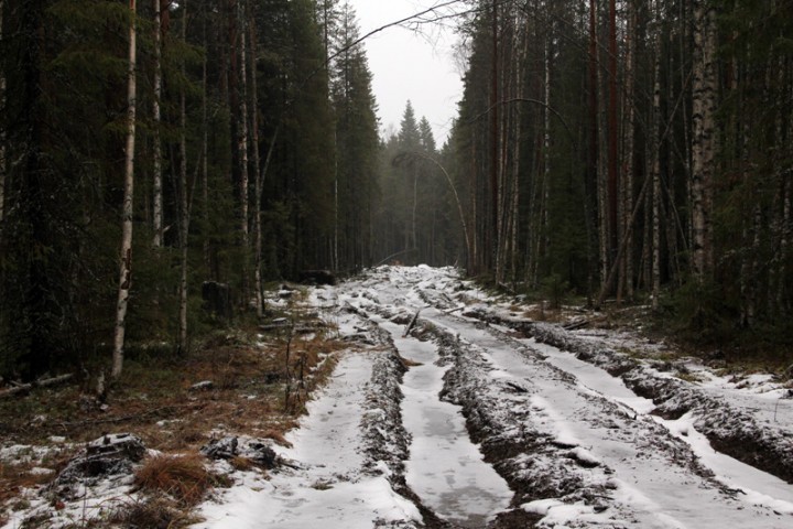 IMG_8427.jpg