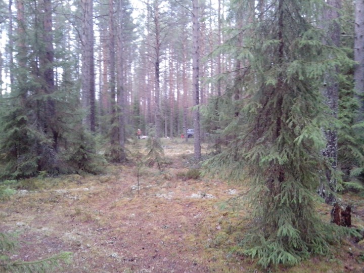 IMG_20131124_142058.jpg