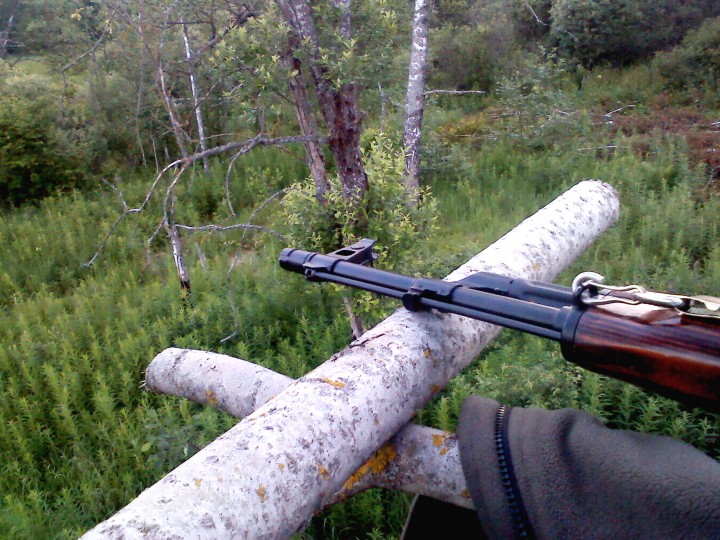 IMG00011.jpg