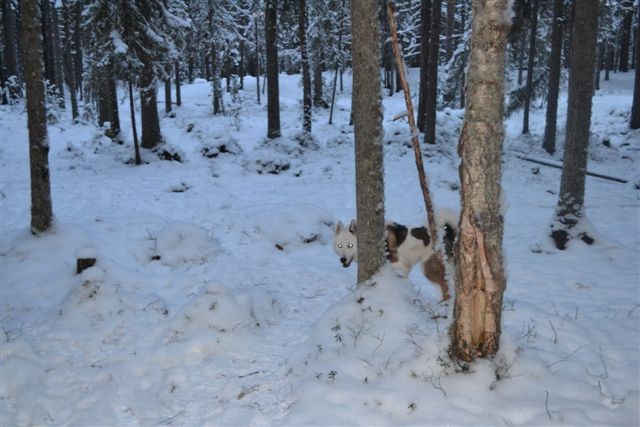 DSC_2220.JPG