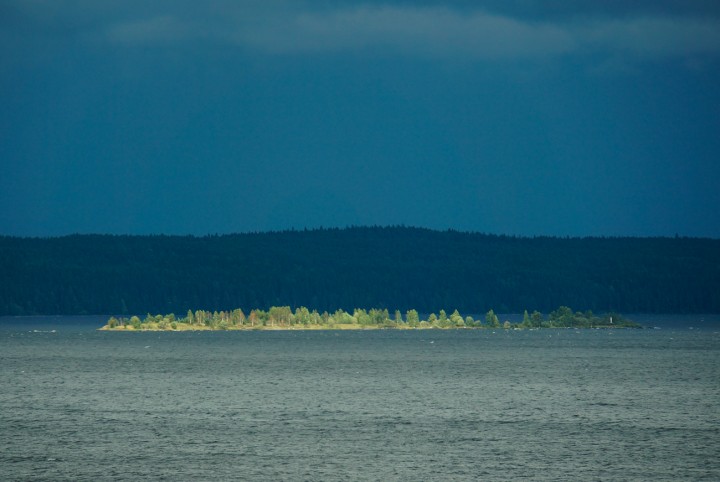 DSC03831-2.jpg