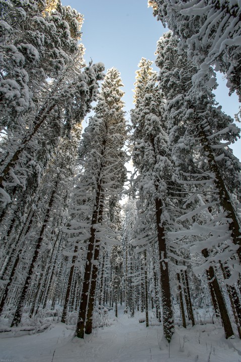 DSC_5560.jpg