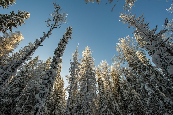DSC_5574.jpg