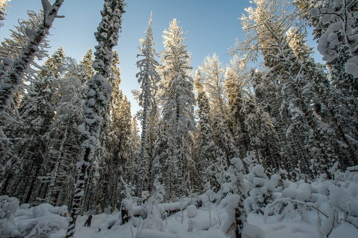 DSC_5575.jpg