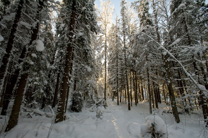DSC_5587.jpg
