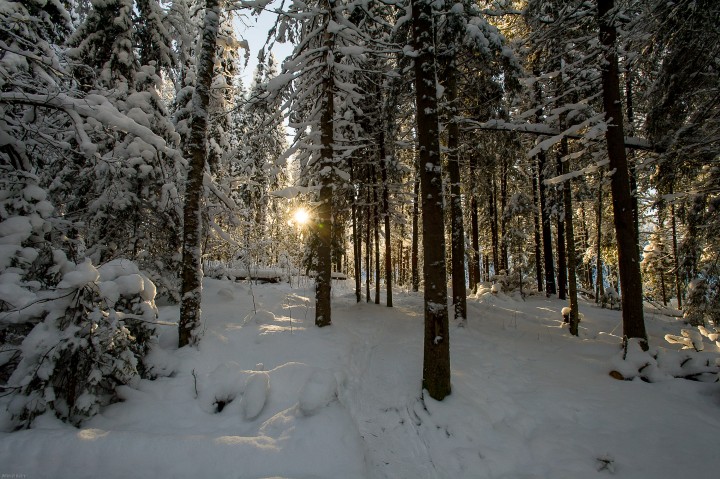 DSC_5589.jpg